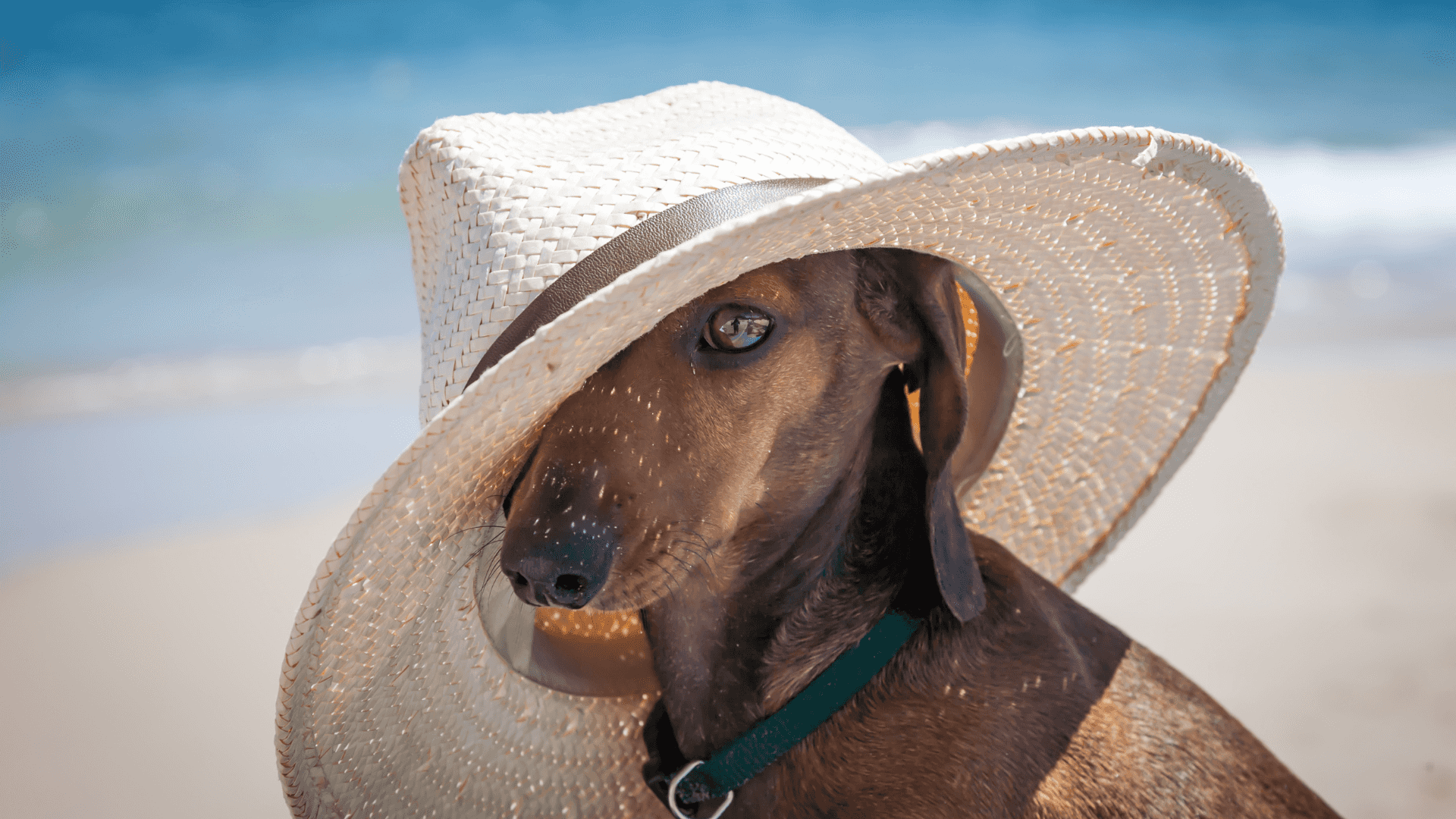 Contact Landing Image